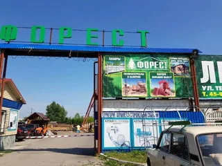 Forest-prom, photo 3