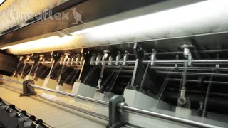 Lineaflex, photo 5