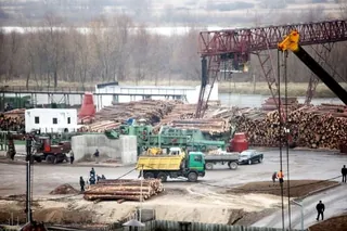 OJSC “Mozyrskiy DOK”, photo 5