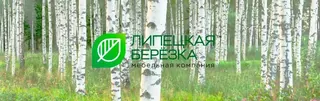 Lipetskaya beryozka, photo 1