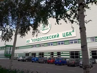Kondopozhskiy TsBK, photo 2