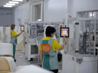Vega, photo 2