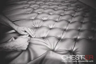 Chester, photo 2