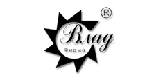 Logo Vlad