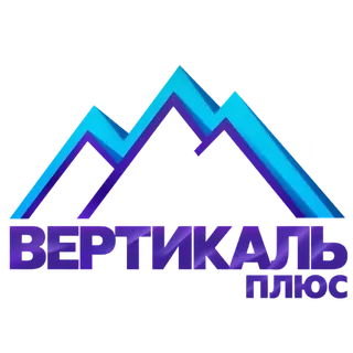 Logo Vertikal Plyus