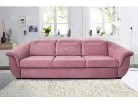 Kamelia, photo 2