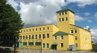 Kondor, photo 2