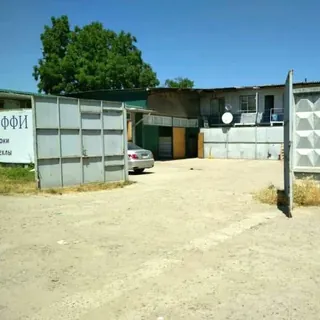 Teffi, photo 4