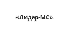 Logo Optovyy postavshchik komplektuyushchikh “Lider-MS”