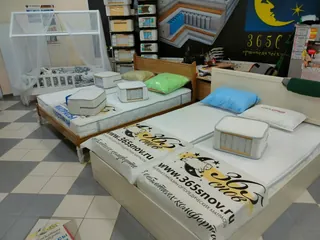 365 snov, photo 2